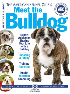 cover image of Meet the Bulldog